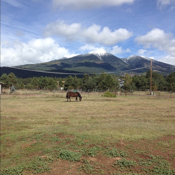 Meet your Posher, Rayne - Picture 3 of 4